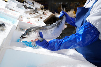 Manecute de protectie Ansell ALPHATEC 23-201, PVC