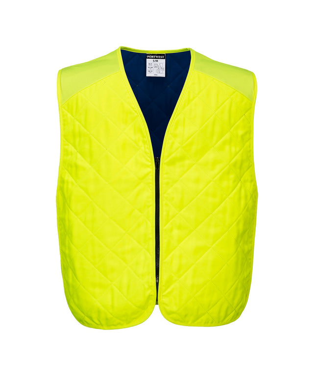 Cooling Evaporative Vest