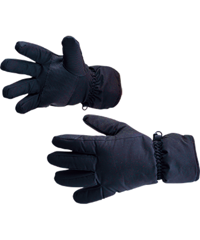 gl10 Waterproof Ski Glove